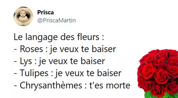 Image de couverture de l'article : Sélection spéciale Saint Valentin 2020 : les meilleurs tweets !