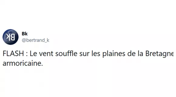 Image de couverture de l'article : Les 15 meilleurs tweets sur le vent, c’est la tempête là dehors !