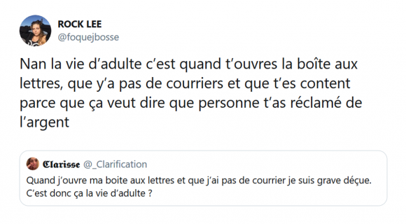 Image de couverture de l'article : Sélection spéciale Devenir adulte : les meilleurs tweets !