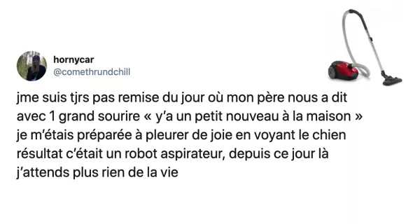 Image de couverture de l'article : Les 20 meilleurs tweets sur l’aspirateur, et si je le passais à 8h du matin ?