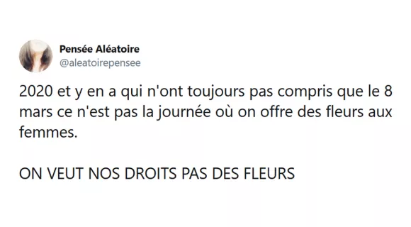 Image de couverture de l'article : Journée des droits des femmes : les meilleurs tweets !