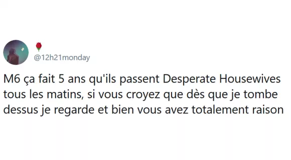 Image de couverture de l'article : Les 20 meilleurs tweets sur Desperate Housewives, plutôt Bree, Lynette, Gaby ou Susan ?