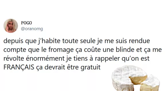 Image de couverture de l'article : Journée nationale du fromage : les meilleurs tweets