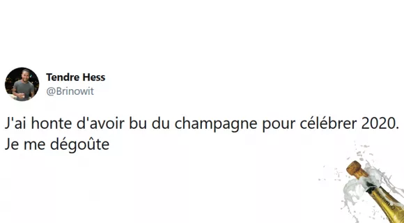 Image de couverture de l'article : Les 25 meilleurs tweets sur 2020, déjà élue la pire des années