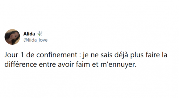 Image de couverture de l'article : Jour 40 du confinement : rétrospective des meilleurs tweets