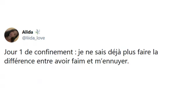 Image de couverture de l'article : Jour 40 du confinement : rétrospective des meilleurs tweets