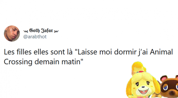 Image de couverture de l'article : Les 28 nouveaux meilleurs tweets sur Animal Crossing, ça continue