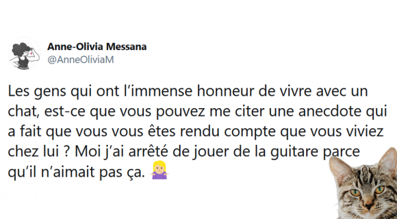 Image de couverture de l'article : Les 20 meilleures anecdotes qui montrent que c’est vous qui vivez chez votre chat