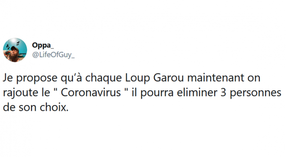 Image de couverture de l'article : Les 18 meilleurs tweets sur le loup-garou, le village s’endort…