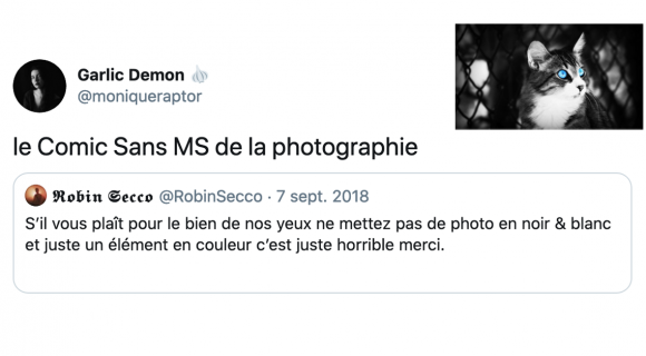 Image de couverture de l'article : Les 18 meilleurs tweets sur la photographie, oui c’est un métier !