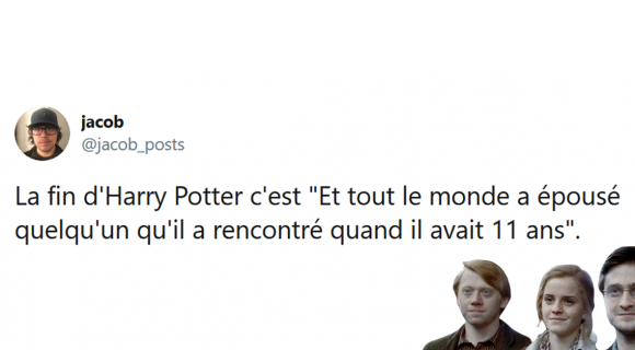 Image de couverture de l'article : Les 20 meilleurs tweets de la semaine sur Harry Potter #2