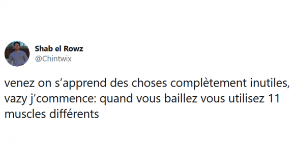 Image de couverture de l'article : Les 20 meilleurs tweets sur ces choses totalement inutiles à savoir