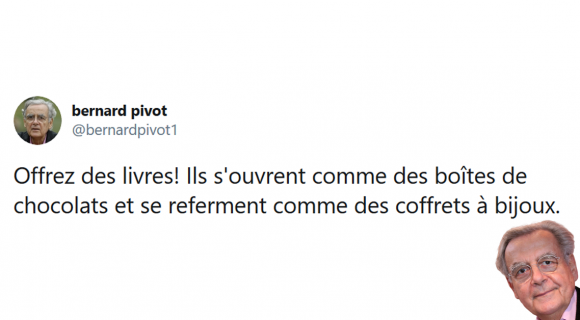 Image de couverture de l'article : Sélection spéciale Bernard Pivot : les meilleurs tweets