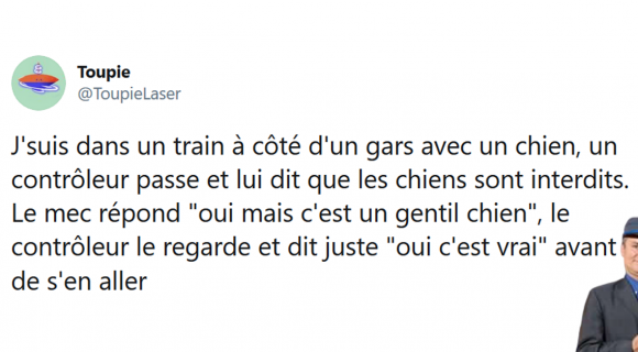 Image de couverture de l'article : Les 25 meilleurs tweets sur les contrôleurs, votre ticket s’il vous plaît !