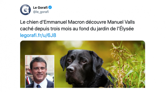 Image de couverture de l'article : Les 20 meilleurs tweets sur le jardin, le lieu rêvé du confinement