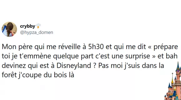 Image de couverture de l'article : Les 20 meilleurs tweets sur Disneyland, quel endroit merveilleux