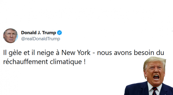 Image de couverture de l'article : Sélection spéciale Donald Trump : ses meilleurs tweets