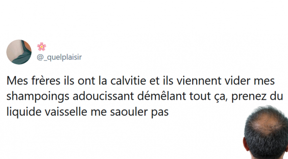 Image de couverture de l'article : Les 15 meilleurs tweets sur la calvitie, la terreur de tous les hommes