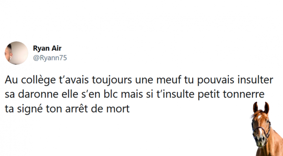 Image de couverture de l'article : Les 15 meilleurs tweets sur le cheval, c’est trop génial