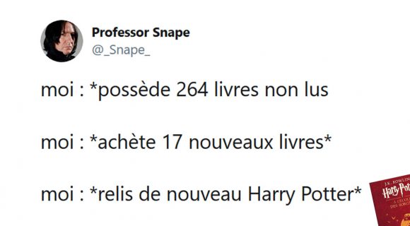 Image de couverture de l'article : Les 20 meilleurs tweets de la semaine sur Harry Potter #6