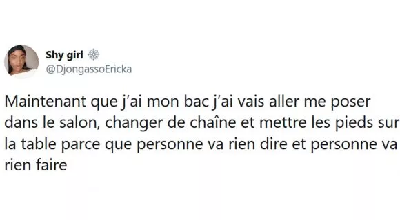 Image de couverture de l'article : Les 25 meilleurs tweets sur le bac 2020