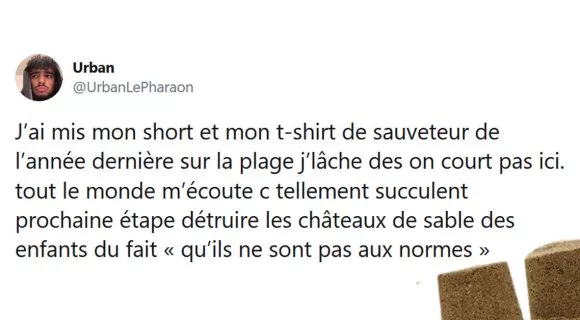 Image de couverture de l'article : Les 15 meilleurs tweets à la plage