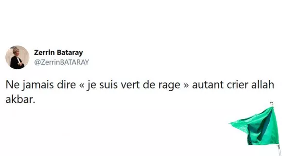 Image de couverture de l'article : Eric Zemmour pense que derrière le vert des écolos se cache celui de l’islam