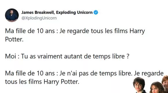 Image de couverture de l'article : Les 20 meilleurs tweets de la semaine sur Harry Potter #7