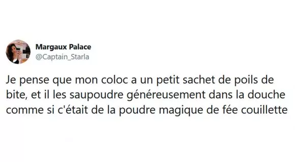 Image de couverture de l'article : Les 18 meilleurs tweets sur les colocs, c’est à toi de faire la vaisselle là