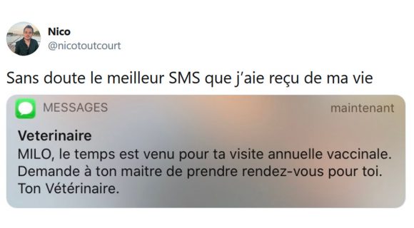 Image de couverture de l'article : Les 18 meilleurs tweets chez le vétérinaire