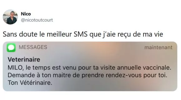 Image de couverture de l'article : Les 18 meilleurs tweets chez le vétérinaire