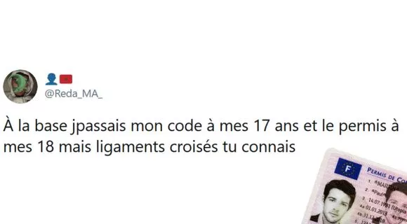 Image de couverture de l'article : Les 18 meilleurs tweets sur le permis de conduire