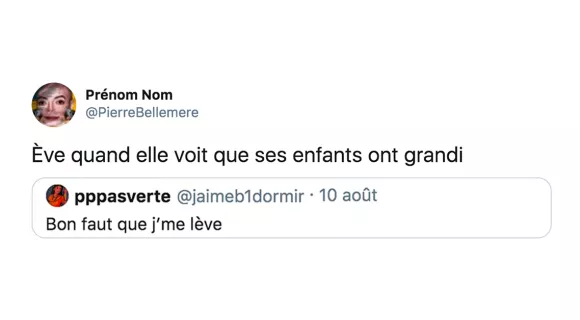 Image de couverture de l'article : Le Comptwoir du 12 août 2020 : les meilleurs tweets