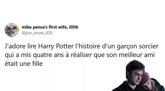 Image de couverture de l'article : Les 20 meilleurs tweets de la semaine sur Harry Potter #11