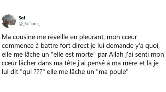 Image de couverture de l'article : Les 15 meilleurs tweets sur les cousins et les cousines