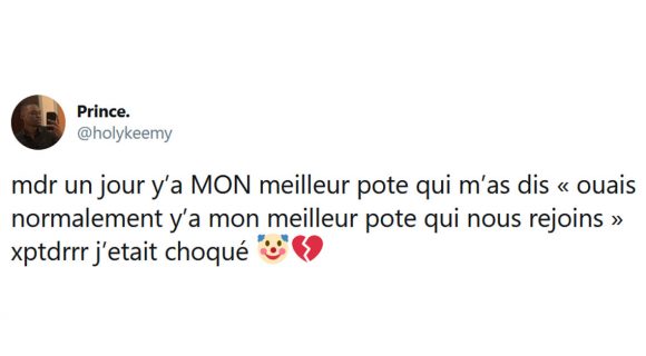 Image de couverture de l'article : Les 15 meilleurs tweets sur le meilleur ami, à la vie à la mort