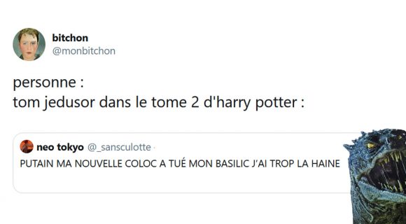 Image de couverture de l'article : Les 20 meilleurs tweets de la semaine sur Harry Potter #14