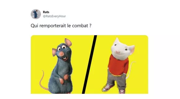 Image de couverture de l'article : Entre Stuart Little et Rémy de Ratatouille : qui gagnerait la bagarre ?