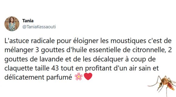 Image de couverture de l'article : Les 15 meilleurs tweets sur les moustiques, mais laissez nous dormir !