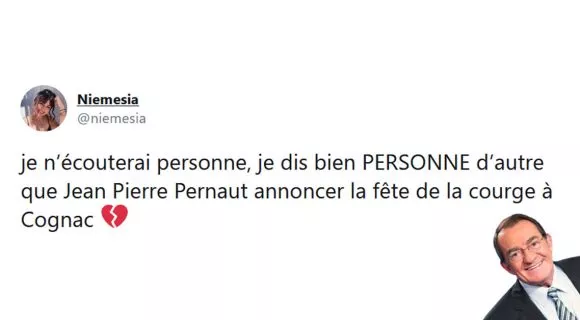 Image de couverture de l'article : Les 15 meilleurs tweets sur le départ de Jean-Pierre Pernault, adieu petit ange