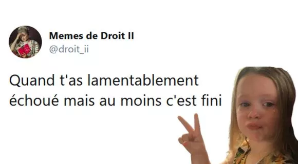 Image de couverture de l'article : Les 15 meilleurs mèmes sur le droit