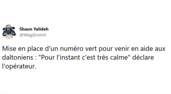 Image de couverture de l'article : Les 15 meilleurs tweets sur les numéros verts, la solution à tout