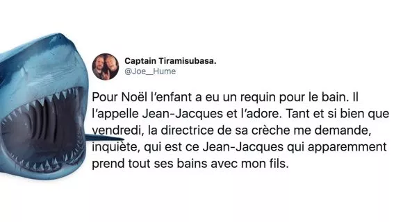 Image de couverture de l'article : Top 24 des tweets sur les requins, à lire hors de l’eau !