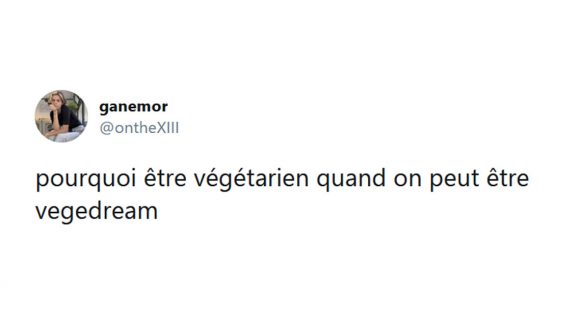 Image de couverture de l'article : Les 18 meilleurs tweets sur les végétariens, non on manque pas de protéines