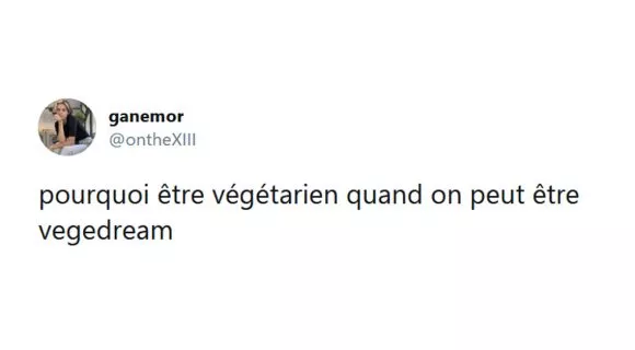 Image de couverture de l'article : Les 18 meilleurs tweets sur les végétariens, non on manque pas de protéines