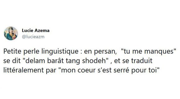 Image de couverture de l'article : Les 15 meilleurs tweets sur le persan, la langue la plus belle du monde ?