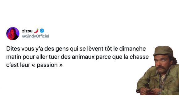 Image de couverture de l'article : Chasse : à quand l’interdiction ? Vos 20 meilleurs tweets !