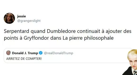 Image de couverture de l'article : Les 20 meilleurs tweets de la semaine sur Harry Potter #25