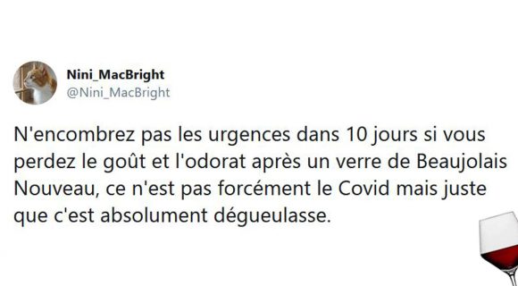 Image de couverture de l'article : Les 15 meilleurs tweets sur le beaujolais nouveau, un plaisir des papilles