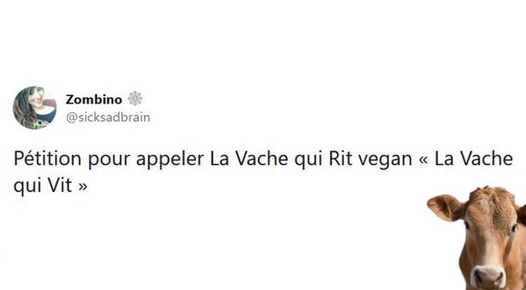 Image de couverture de l'article : Les 20 meilleurs tweets sur le véganisme, ni viande, ni œufs, ni lait